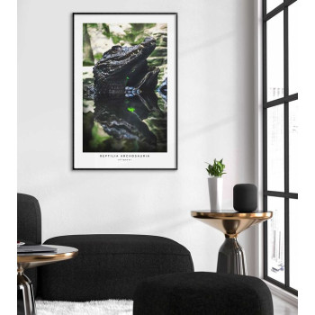 Krokodil i profil - Grön poster