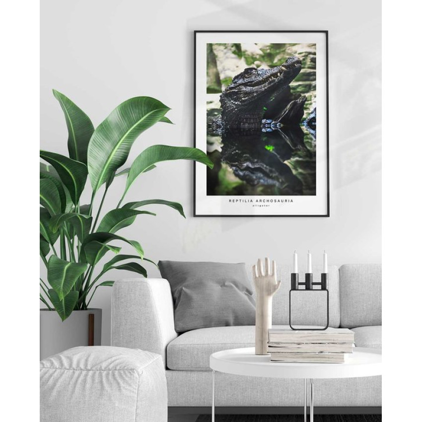 Krokodil i profil - Grön poster