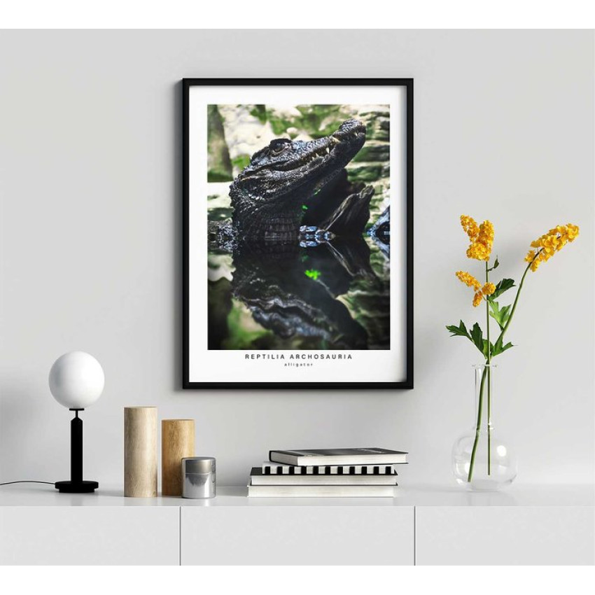 Krokodil i profil - Grön poster