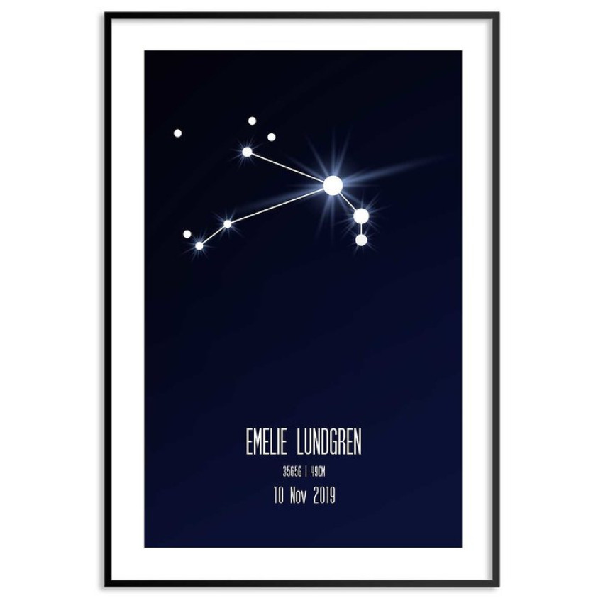Zodiac - Cute kids posters - SwedeArts