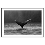 Whale fen - Original nature poster