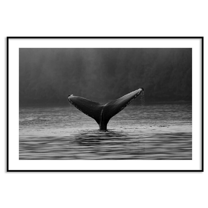 Whale fen - Original nature poster