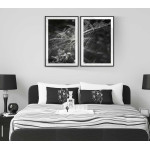 Vackert spindeln&auml;t 50x70cm x 2 svartvita posters