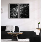 Vackert spindeln&auml;t 50x70cm x 2 svartvita posters