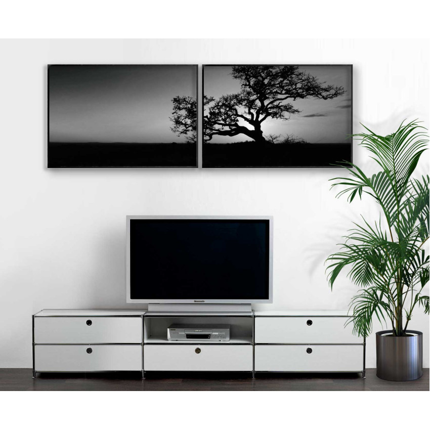African Akacia Tree - Big Black and White Poster in Two Pieces