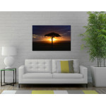 African Akacia Tree - Big Poster