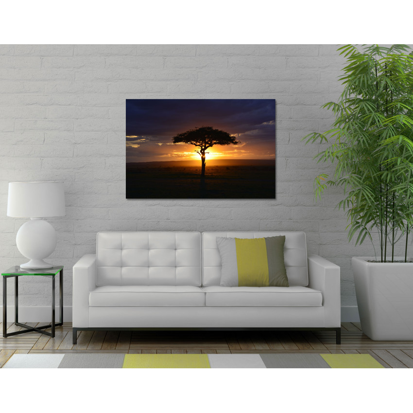 African Akacia Tree - Big Poster