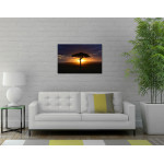 African Akacia Tree - Big Poster