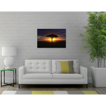 African Akacia Tree - Big Poster