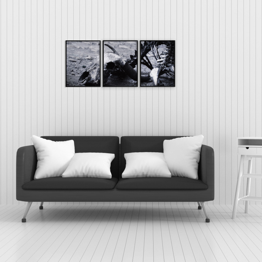 Skelett av Djur - Stor Poster i Tre delar