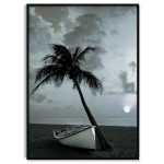 Poster med Vacker Strand,  Palm och Eka
