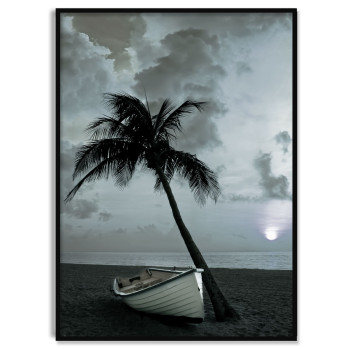 Poster med Vacker Strand,  Palm och Eka