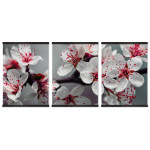 Beautiful and Colorful Flowers - Big Poster in Three Pieces