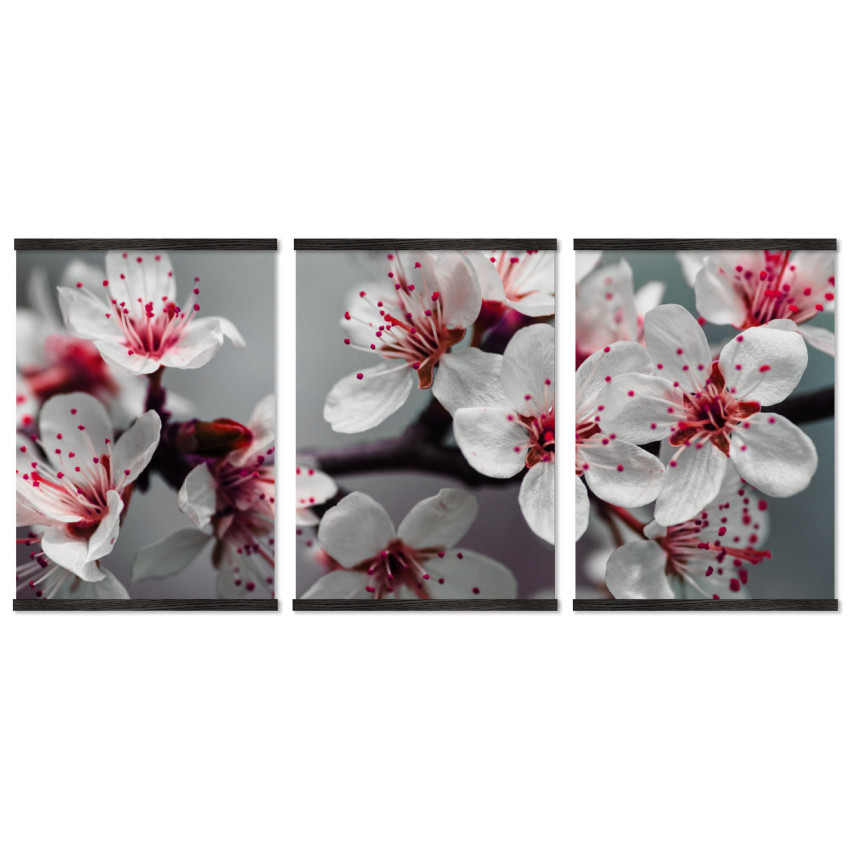 Beautiful and Colorful Flowers - Big Poster in Three Pieces