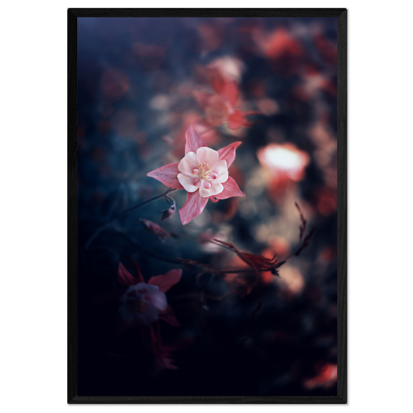 Beautiful Flower in Focus - Poster
