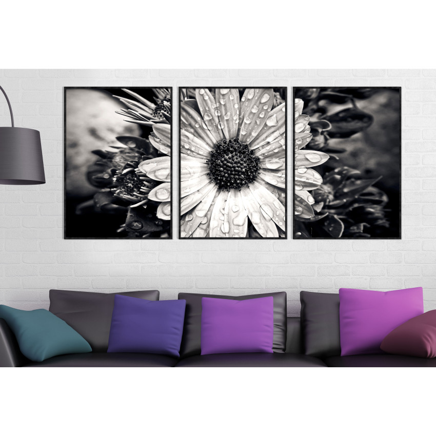 Beautiful Flower - Three Piece Poster
