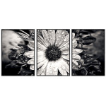 Beautiful Flower - Three Piece Poster