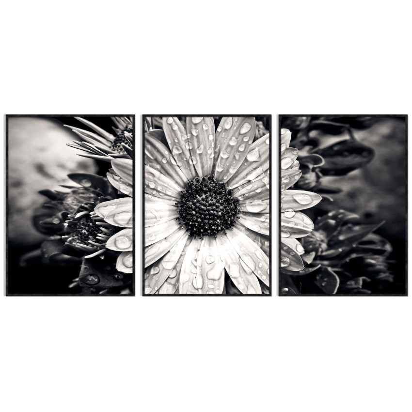Beautiful Flower - Three Piece Poster