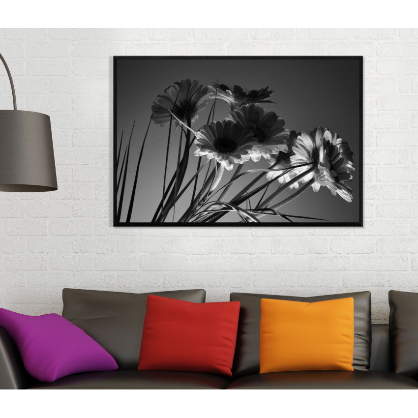 Beautiful Flowers - Black and White Poster
