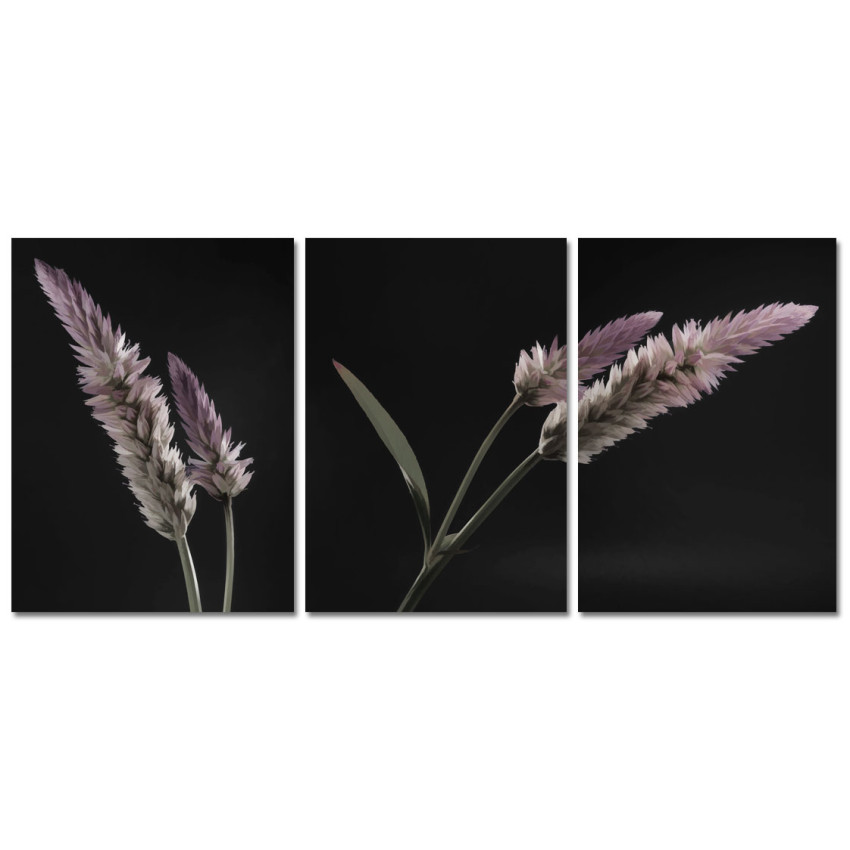 Vackert Blommotiv - Poster i Tre delar