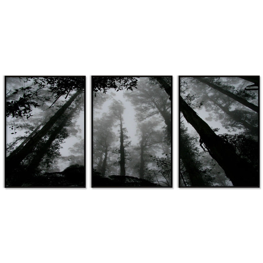 Beautiful Forest - Black and White Three Piece Poster