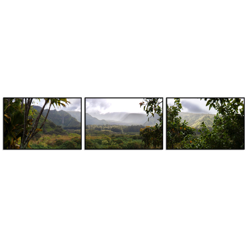Beautiful Hawaiian Nature - Three Piece Poster