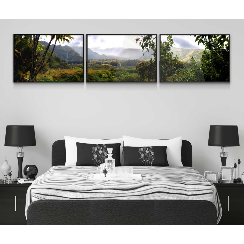 Beautiful Hawaiian Nature - Three Piece Poster
