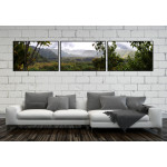 Beautiful Hawaiian Nature - Three Piece Poster