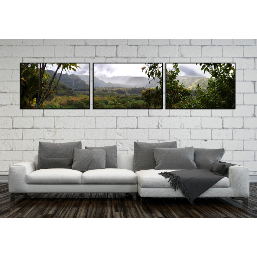 Beautiful Hawaiian Nature - Three Piece Poster