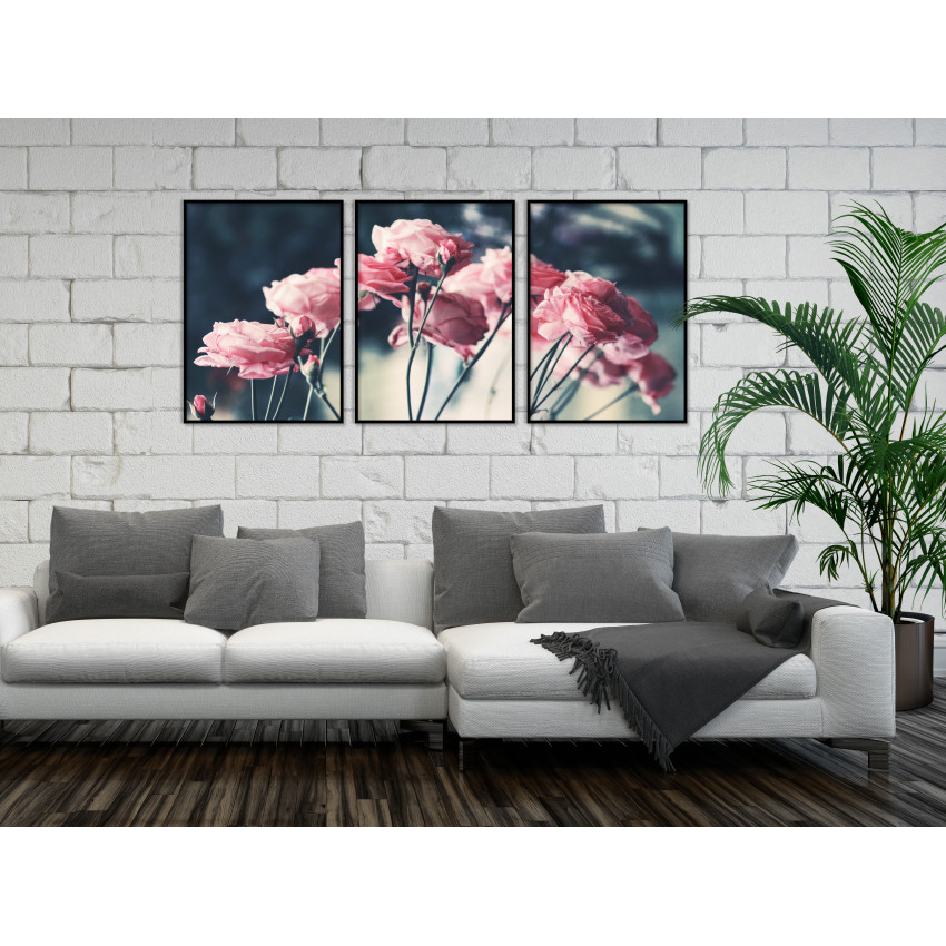 Beautiful Pink Roses - Three Piece Poster