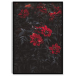 Vackra R&ouml;da Blommor - Svartvit Botanisk Poster