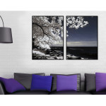 Beautiful Tree by the Beach - Two Piece Poster