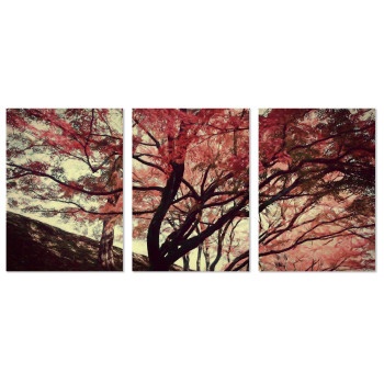 Vackert träd med höstlöv - Stor poster tavla i tre delar