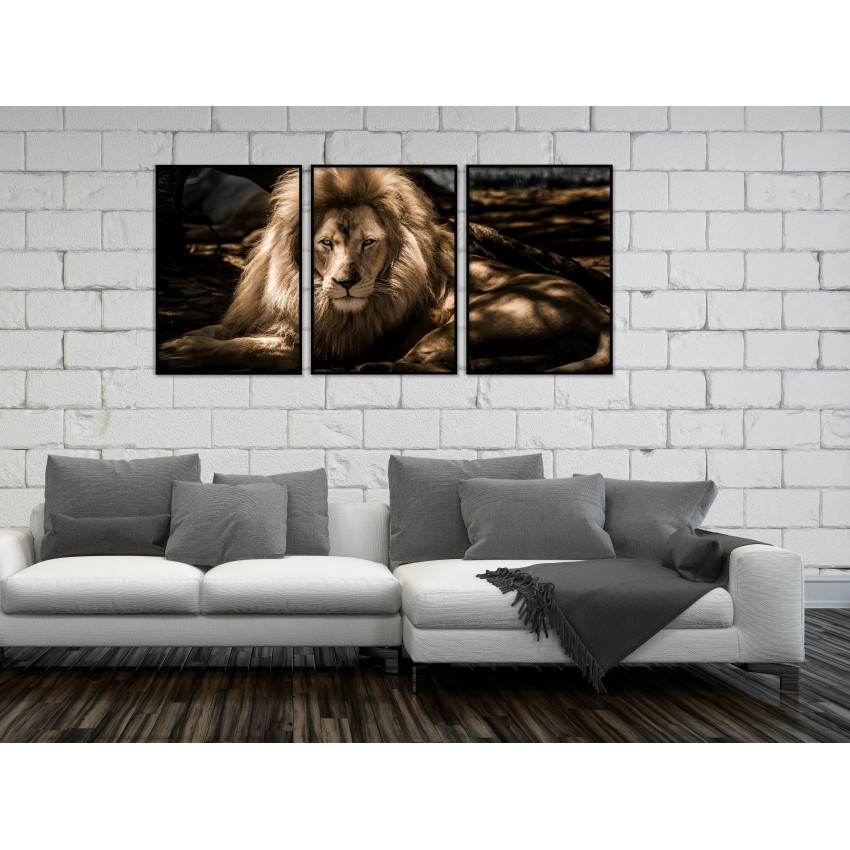Stor lejon tavla 50x70cm x 3
