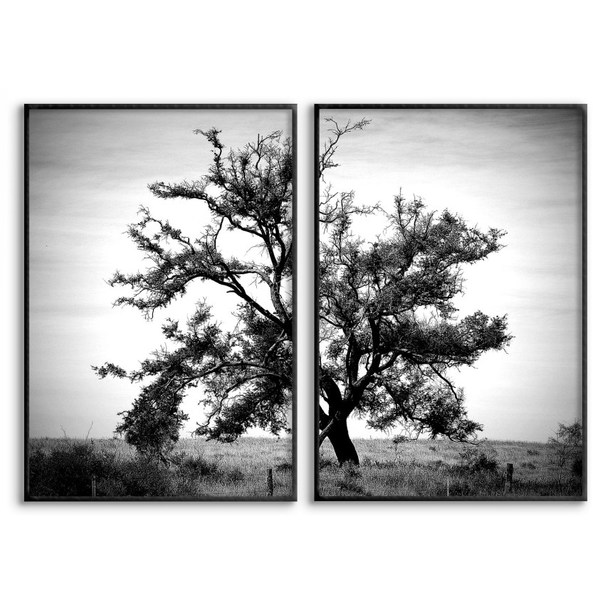 Big Tree - Two Piece Poster Set