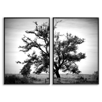 Stort träd - Svartvitt tavelset i två delar