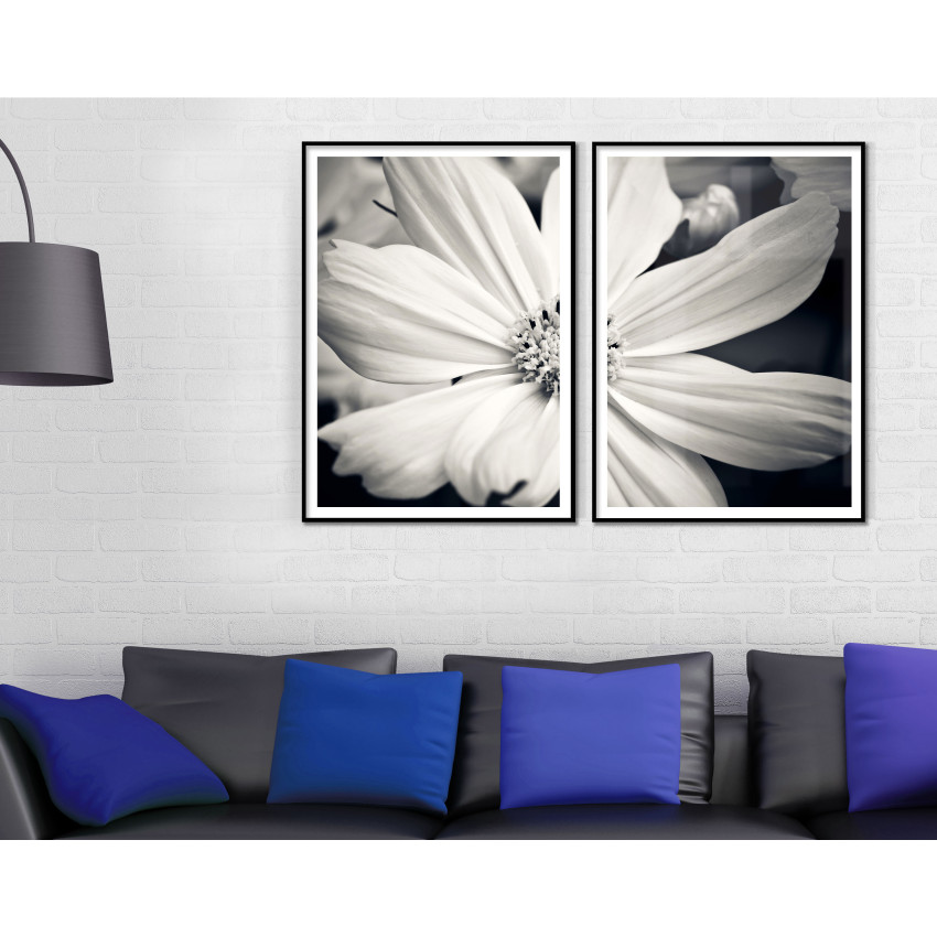 Black and White Flower - Two Piece Poster