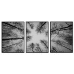 Black and White Poster with Tree - Three Pieces