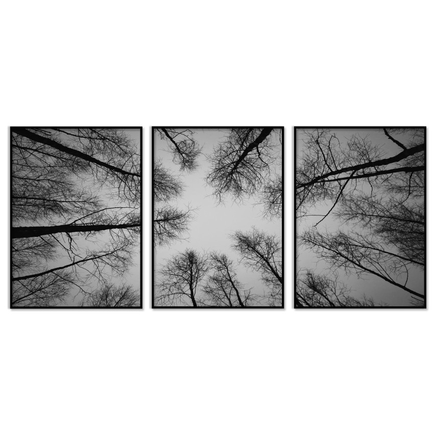 Black and White Poster with Tree - Three Pieces