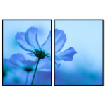Blue Beautiful Flower - Big Poster