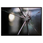 Trasigt F&ouml;nster - Enkel Poster Tavla