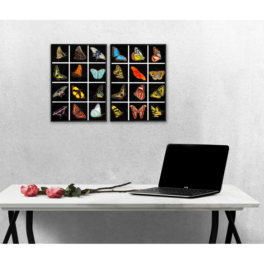 Fjärilar i mängder - Tavelset i två delar