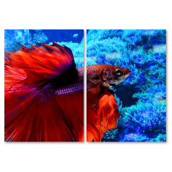 Colorful Fighting Fish - Poster in Two Pieces