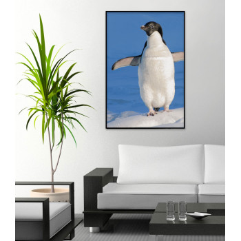 Cute Penguin - Poster Print