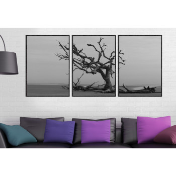 Dött träd i svartvitt - Stor tavla i tre delar