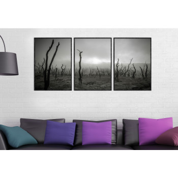 Döda Träd - Svartvit Poster Tavla i Tre delar