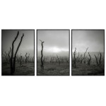 Dead Trees - Poster in Three Pieces