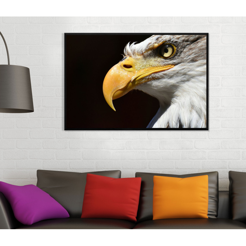 &Ouml;rn med Svart Bakgrund - Poster