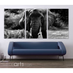 Elephant from the Front - Black and White Poster in Three Pieces