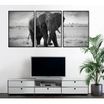 Elephant in the Savanna - Three Piece Poster
